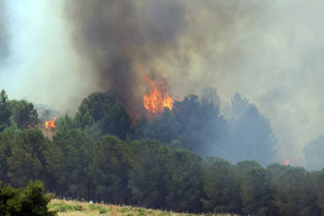 IPA85724819 - MONTAGNA GRANDE IN SALEMI, NEAR TRAPANI, HAS BEEN BURNING FOR THREE DAYS; 1,200 HECTARES OF FOREST HAVE GONE UP IN SMOKE The photo shows the Montagna Grande forest destroyed by the flames; more than 1,200 hectares have gone up in smoke  Copyright: xAlbertoxLoxBiancox xAlbertoxLoxBianco Fotogrammax 85724819