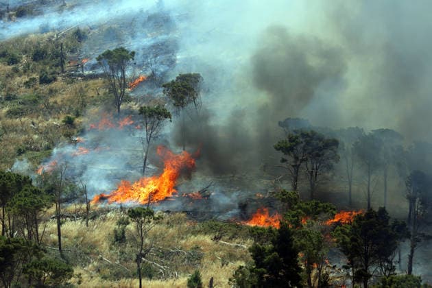 IPA85724825 - MONTAGNA GRANDE IN SALEMI, NEAR TRAPANI, HAS BEEN BURNING FOR THREE DAYS; 1,200 HECTARES OF FOREST HAVE GONE UP IN SMOKE. The photo shows the Montagna Grande forest destroyed by the flames; more than 1,200 hectares have gone up in smoke.  Copyright: xAlbertoxLoxBiancox xAlbertoxLoxBianco Fotogrammax 85724825