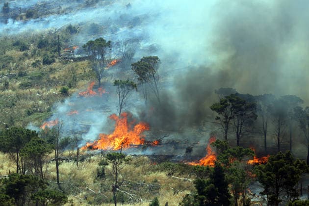 IPA85724827 - MONTAGNA GRANDE IN SALEMI, NEAR TRAPANI, HAS BEEN BURNING FOR THREE DAYS; 1,200 HECTARES OF FOREST HAVE GONE UP IN SMOKE. The photo shows the Montagna Grande forest destroyed by the flames; more than 1,200 hectares have gone up in smoke.  Copyright: xAlbertoxLoxBiancox xAlbertoxLoxBianco Fotogrammax 85724827