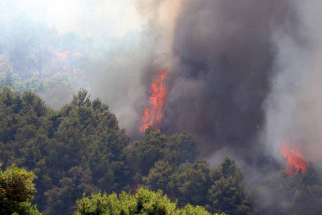 IPA85724843 - MONTAGNA GRANDE IN SALEMI, NEAR TRAPANI: THE FIRE HAS BEEN RAGING FOR THREE DAYS; 1,200 HECTARES OF FOREST HAVE GONE UP IN SMOKE. Pictured: the Montagna Grande forest destroyed by the flames; more than 1,200 hectares have gone up in smoke.  Copyright: xAlbertoxLoxBiancox xAlbertoxLoxBianco Fotogrammax 85724843