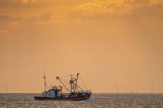 Fischerboot vor Abendhimmel, am Horizont Windkraftanlagen, Windräder, Houvig-Strand, Nordsee, Dänemark Fishing boat in the evening sky, wind turbines on the horizon, wind turbines, Houvig Beach, North Sea, Denmark Copyright: imageBROKER OlafxKrüger ibxomk18054732.jpg
