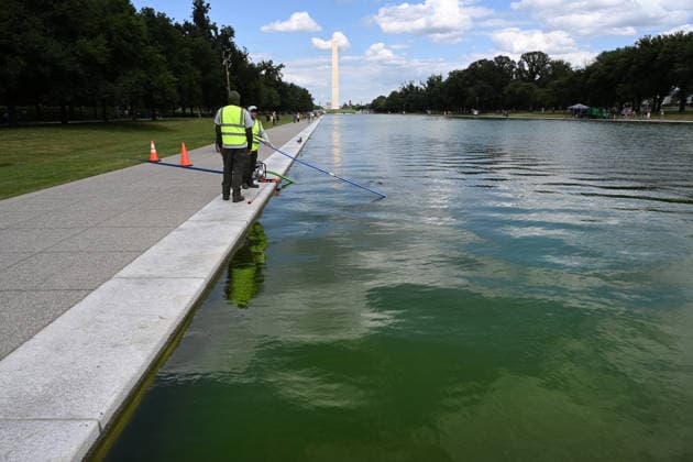Newly-Renovated Lincoln Memorial Reflecting Pool Turns Green With Algae The water in the Lincoln Memorial Reflecting Pool has turned green as algae has begun to bloom following the completion of recent renovations on June 15, 2026 in Washington, DC. Photo by Olivier Douliery ABACAPRESS.COM Washington DC United States  Copyright: xDoulieryxOlivier ABACAx