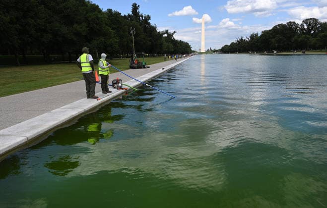 Newly-Renovated Lincoln Memorial Reflecting Pool Turns Green With Algae The water in the Lincoln Memorial Reflecting Pool has turned green as algae has begun to bloom following the completion of recent renovations on June 15, 2026 in Washington, DC. Photo by Olivier Douliery ABACAPRESS.COM Washington DC United States  Copyright: xDoulieryxOlivier ABACAx