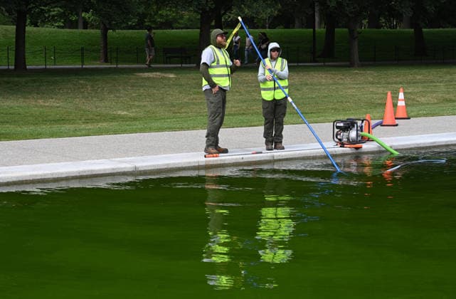 Newly-Renovated Lincoln Memorial Reflecting Pool Turns Green With Algae National Park Service employees work to clean up algae in the Lincoln Memorial Reflecting Pool following the completion of recent renovations on June 15, 2026 in Washington, DC. Photo by Olivier Douliery ABACAPRESS.COM Washington DC United States  Copyright: xDoulieryxOlivier ABACAx