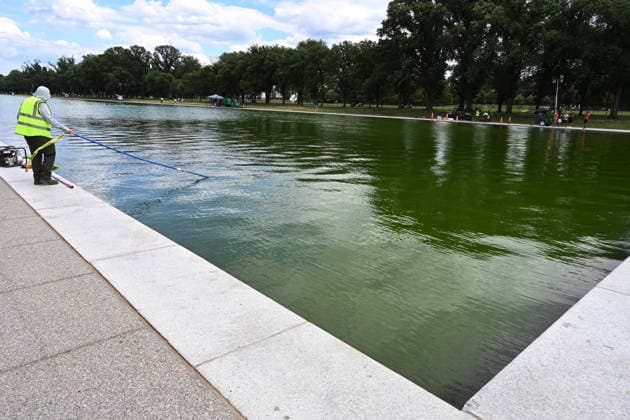 Newly-Renovated Lincoln Memorial Reflecting Pool Turns Green With Algae National Park Service employees work to clean up algae in the Lincoln Memorial Reflecting Pool following the completion of recent renovations on June 15, 2026 in Washington, DC. Photo by Olivier Douliery ABACAPRESS.COM Washington DC United States  Copyright: xDoulieryxOlivier ABACAx