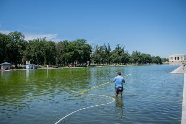 June 16, 2026, Washington, District Of Columbia, United States: A worker uses a vacuum system to remove green algae from the Lincoln Memorial Reflecting Pool in Washington, D.C. The algae appeared shortly after the historic pool was refilled following a major rehabilitation project as maintenance and cleanup efforts continue. Washington United States  - ZUMAk206 20260616_znp_k206_006 Copyright: xMattxKaminskyx