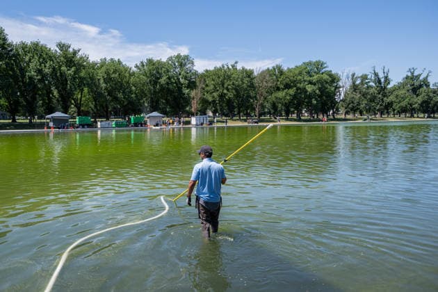 June 16, 2026, Washington, District Of Columbia, United States: A worker uses a vacuum system to remove green algae from the Lincoln Memorial Reflecting Pool in Washington, D.C. The algae appeared shortly after the historic pool was refilled following a major rehabilitation project as maintenance and cleanup efforts continue. Washington United States - ZUMAk206 20260616_znp_k206_010 Copyright: xMattxKaminskyx