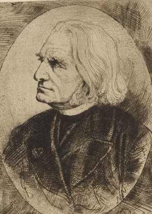 RECORD DATE NOT STATED Portrait of Franz Liszt, print, printmaker: Willem Linnig (II), 1852 - 1890, paper, etching, drypoint, intaglio printmaking technique, etching and drypoint with plate tone, height 188 mm x width 137 mm, Person, Franz Liszt, historical persons, A monochrome etching of an older person in profile facing left, showing a detailed side view of a long face with a prominent nose and closed lips, deep wrinkles and textured skin, heavy eyelids and pronounced, bushy eyebrows, and shoulder-length wavy hair that falls around the ear and neck; the figure wears a dark, textured garment with visible folds and crosshatched shading, and the background features a lightly shaded circular halo-like area surrounded by dense, radiating hatch marks and stippling.  Copyright Penta Springs LCK260531_22653