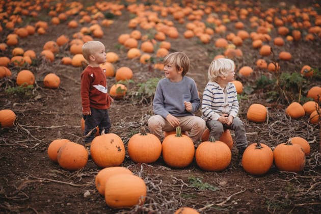 Beautiful children brothers at pumpkin farm during Fall Morton, Illinois, United States CR_TANI260616-2046962-01 ,model released, Symbolfoto