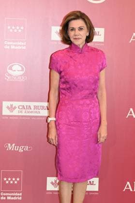 ABC Presents the 17th Bullfighting Award to the Lozano Brothers María Dolores de Cospedal poses at the photocall during the presentation of ABCs 17th Bullfighting Award on June 17, 2026, in Madrid, Spain ABC BULLFIGHTING AWARD CELEBRITIES PHOTOCALL José Madrid Madrid Spain,detected_source_language  Copyright: xJosÃ xOlivax 7603397