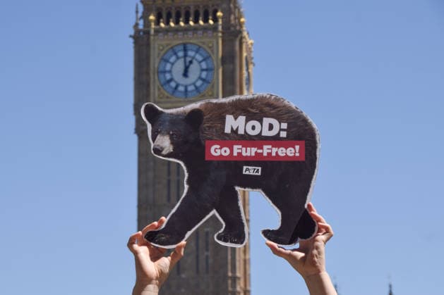 June 17, 2026, London, England, United Kingdom: An activist holds up a bear-shaped placar during a PETA campaign in Parliament Square urging the Ministry of Defence to stop using bearskin in Royal Guards ceremonial caps and to switch to a faux fur alternative. London United Kingdom - ZUMAv130 20260617_zip_v130_013 Copyright: xVukxValcicx