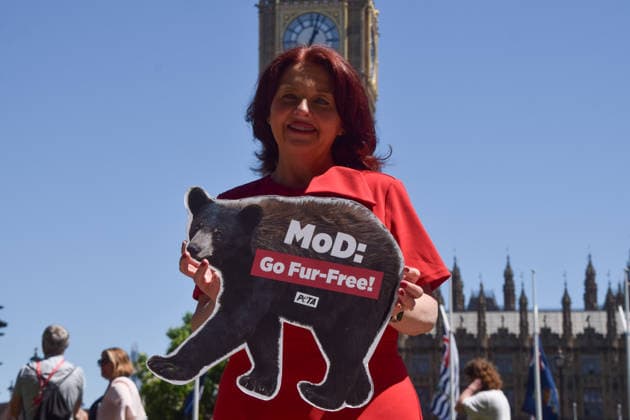 June 17, 2026, London, England, United Kingdom: Labour MP PAULA BARKER holds a bear-shaped placard during a PETA campaign in Parliament Square urging the Ministry of Defence to stop using bearskin in Royal Guards ceremonial caps and to switch to a faux fur alternative. London United Kingdom  - ZUMAv130 20260617_zip_v130_014 Copyright: xVukxValcicx