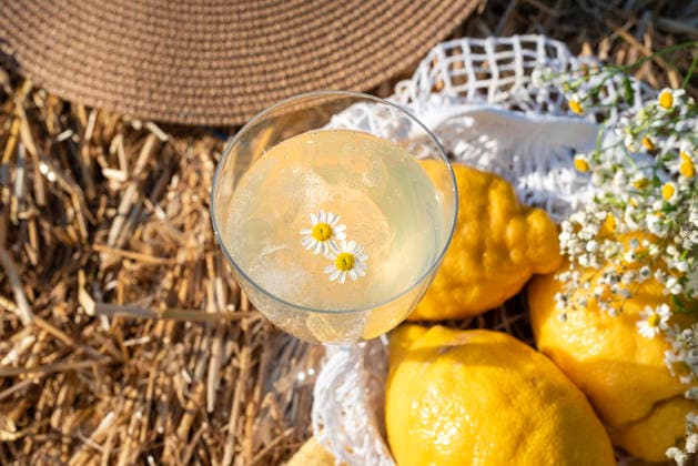 Refreshing limoncello or chamomile lemonade with lemons in a summer R_YEPI260616-2055179-01