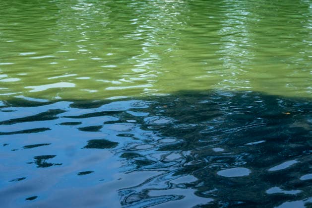 Algae is seen on the bottom of the newly repainted Lincoln Memorial Reflecting Pool on the National Mall in Washington, DC on Wednesday, June 17, 2026. The Trump Administration spent $16 million to paint the bottom of the pool American flag blue and as part of an effort to repair Washington landmarks in for preparation the country s 250th birthday this summer.  WAP20260617317 BONNIExCASH