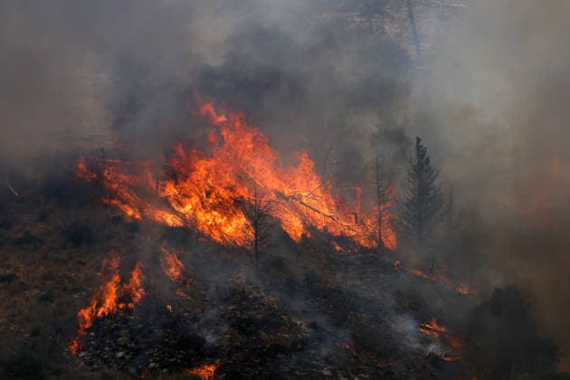 Wildfire continues to burn in Sicily s Trapani region as aerial response intensifies TRAPANI, ITALY - JUNE 17: Firefighting aircraft and helicopters operate to extinguish a wildfire that broke out in a maquis area near the Grande Montagna location in Trapani, on the west of Italy s Sicily Island, on June 17, 2026. The wildfire, which started yesterday afternoon, continues to spread despite ongoing aerial and ground efforts. Alberto Lo Bianco Anadolu Trapani Italy. Editorial use only. Please get in touch for any other usage.  Copyright: x2026xAnadoluxAlbertoxLoxBiancox