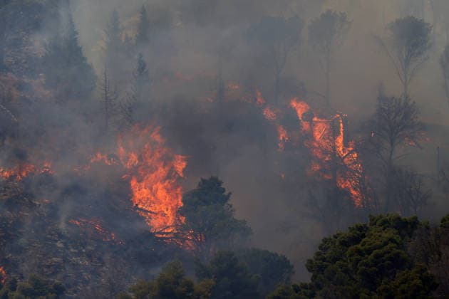 Wildfire continues to burn in Sicily s Trapani region as aerial response intensifies TRAPANI, ITALY - JUNE 17: Firefighting aircraft and helicopters operate to extinguish a wildfire that broke out in a maquis area near the Grande Montagna location in Trapani, on the west of Italy s Sicily Island, on June 17, 2026. The wildfire, which started yesterday afternoon, continues to spread despite ongoing aerial and ground efforts. Alberto Lo Bianco Anadolu Trapani Italy. Editorial use only. Please get in touch for any other usage.  Copyright: x2026xAnadoluxAlbertoxLoxBiancox