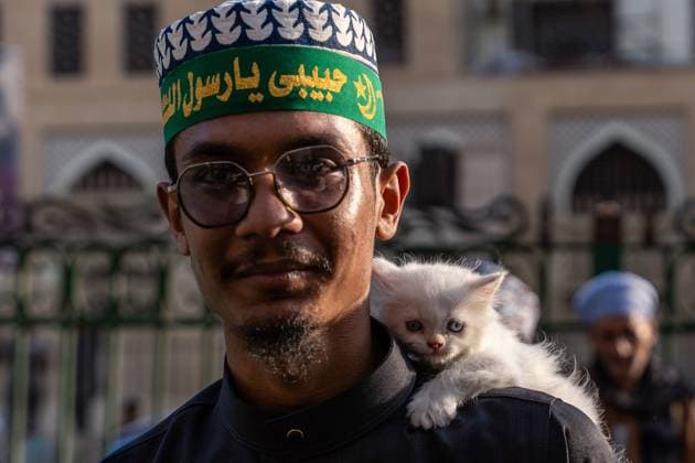 Sufi Procession Celebrates Islamic New Year in Cairo CAIRO, EGYPT JUNE 17, 2026: Sufi followers march through the streets of Cairo in a colorful procession marking the Islamic New Year. Participants performed traditional chants and carried banners as crowds gathered along the streets to witness the celebrations welcoming the beginning of the new Hijri year. Photo by Muhammed Hamdy JNA Press. (Photo by Muhammed Hamdy JNA Press via Nexpher Images) Cairo