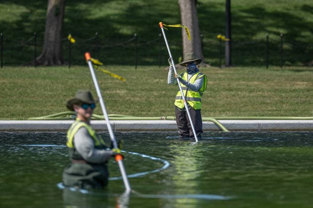 June 17, 2026, Washington, District Of Columbia, United States: Members of the National Park Service continue removing residual algae from the Lincoln Memorial Reflecting Pool on the National Mall in Washington, D.C. Officials said the algae bloom resulted from residual algae left in the system during the restart of pool operations following recent renovations, and crews have made significant progress restoring water quality. Washington United States - ZUMAk206 20260617_znp_k206_003 Copyright: xMattxKaminskyx