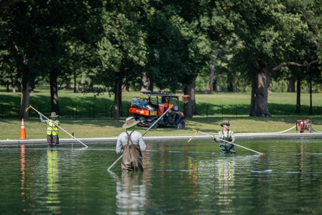 June 17, 2026, Washington, District Of Columbia, United States: Members of the National Park Service continue removing residual algae from the Lincoln Memorial Reflecting Pool on the National Mall in Washington, D.C. Officials said the algae bloom resulted from residual algae left in the system during the restart of pool operations following recent renovations, and crews have made significant progress restoring water quality. Washington United States - ZUMAk206 20260617_znp_k206_005 Copyright: xMattxKaminskyx