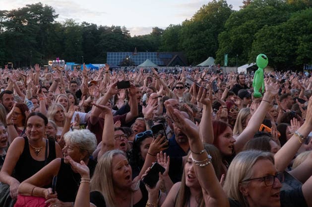 McFly in concert at Thetford Forest, Thetford, UK Thetford, UK, 17 June, 2026. McFly in concert. Pictured left to right, Crowd., Credit:Stephen Keable Avalon UK, Norfolk, Thetford, Thetford Forest  Copyright: xStephenxKeablex xAvalonx 1110846884