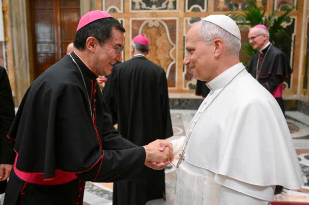 ITALY- REL VATICAN -POPE LEO XVI RECEIVES THE PARTICIPANTS IN THE MEETING OF THE WORKS FOR AID TO THE EASTERN CHURCHES AT THE VATICAN June 18, 2026 ITALY REL June 18, 2026 Pope Leo XIV receives the participants in the meeting of the Works for Aid to the Eastern Churches at the Vatican EDITORIAL USE ONLY - NO BOOKS Copyright: xVATICANxMEDIAx xCatholicxPressxPhotox