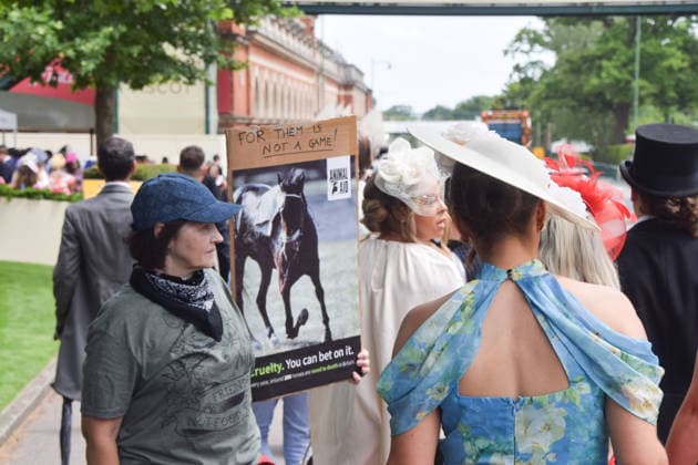 June 18, 2026, Ascot, England, United Kingdom: Attendees walk past animal rights activists from the group Animal Aid staging a protest outside Ascot Racecourse during Royal Ascot 2026, calling for an end to horse racing. Campaigners say that over 200 racehorses die each year in the UK. Ascot United Kingdom  - ZUMAv130 20260618_zip_v130_007 Copyright: xVukxValcicx