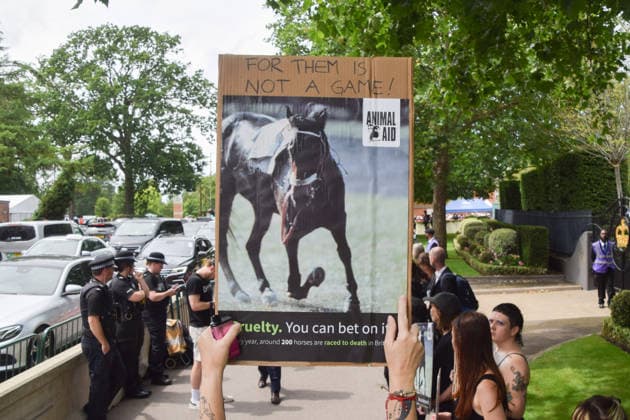June 18, 2026, Ascot, England, United Kingdom: Animal rights activists from the group Animal Aid stage a protest outside Ascot Racecourse during Royal Ascot 2026, calling for an end to horse racing. Campaigners say that over 200 racehorses die each year in the UK. Ascot United Kingdom  - ZUMAv130 20260618_zip_v130_008 Copyright: xVukxValcicx