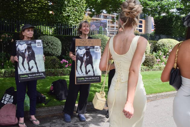 June 18, 2026, Ascot, England, United Kingdom: Attendees walk past animal rights activists from the group Animal Aid staging a protest outside Ascot Racecourse during Royal Ascot 2026, calling for an end to horse racing. Campaigners say that around 200 racehorses die each year in the UK. Ascot United Kingdom  - ZUMAv130 20260618_zip_v130_012 Copyright: xVukxValcicx