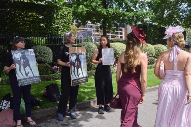 June 18, 2026, Ascot, England, United Kingdom: Attendees walk past animal rights activists from the group Animal Aid staging a protest outside Ascot Racecourse during Royal Ascot 2026, calling for an end to horse racing. Campaigners say that around 200 racehorses die each year in the UK. Ascot United Kingdom  - ZUMAv130 20260618_zip_v130_013 Copyright: xVukxValcicx