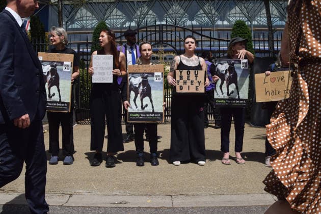 June 18, 2026, Ascot, England, United Kingdom: Attendees walk past animal rights activists from the group Animal Aid staging a protest outside Ascot Racecourse during Royal Ascot 2026, calling for an end to horse racing. Campaigners say that around 200 racehorses die each year in the UK. Ascot United Kingdom  - ZUMAv130 20260618_zip_v130_020 Copyright: xVukxValcicx