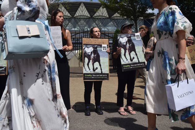 June 18, 2026, Ascot, England, United Kingdom: Attendees walk past animal rights activists from the group Animal Aid staging a protest outside Ascot Racecourse during Royal Ascot 2026, calling for an end to horse racing. Campaigners say that around 200 racehorses die each year in the UK. Ascot United Kingdom  - ZUMAv130 20260618_zip_v130_022 Copyright: xVukxValcicx