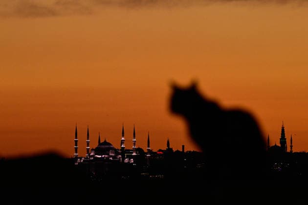 News Bilder des Tages Sunset in Istanbul ISTANBUL, TURKIYE - JUNE 18: A view of the Sultanahmet Mosque during sunset as seen from Kadikoy district in Istanbul, Turkiye on June 18, 2026. Cem Tekkesinoglu Anadolu Istanbul Turkey. Editorial use only. Please get in touch for any other usage.  Copyright: x2026xAnadoluxCemxTekkesinoglux