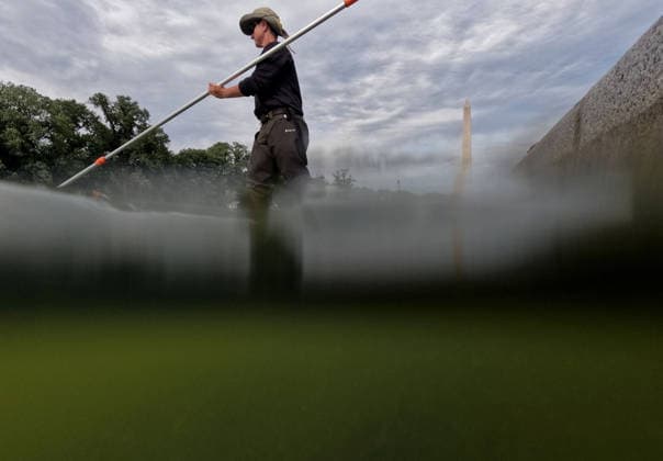 June 18, 2026, Washington, District Of Columbia, USA: National Park Service employees remove green algae from the bottom of the Lincoln Memorial Reflecting Pool in Washington, DC, USA, on June 18, 2026. The NPS is working to control and remove the algae bloom that has turned the pool green following the Trump Administration s recent 4 million repair, resealing, and painting project. Washington USA - ZUMAs337 20260618_znp_s337_004 Copyright: xGentxShkullakux