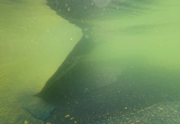 June 18, 2026, Washington, District Of Columbia, USA: A section of the Lincoln Memorial s reflecting pool s new sealant has peeled up in Washington, DC, USA, on June 18, 2026. The NPS is working to control and remove the algae bloom that has turned the pool green following the Trump Administration s recent 4 million repair, resealing, and painting project. Washington USA - ZUMAs337 20260618_znp_s337_009 Copyright: xGentxShkullakux