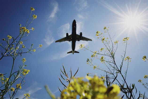News Bilder des Tages Ein Passagierflugzeug zeichnet sich am wolkenlosen Himmel vor Landung am Flughafen Berlin-Brandenburg BER, aufgenommen Berlin, 19.06.2026. Berlin Deutschland *** A passenger plane stands out against the cloudless sky before landing at Berlin Brandenburg Airport (BER), photographed in Berlin on June 19, 2026, Berlin, Germany,detected_source_language Copyright: xFlorianxGaertnerx