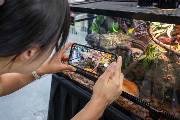 (260619) -- BEIJING, June 19, 2026 -- A woman takes photos during the 2026 Beijing World Reptiles Expo in Pinggu District, Beijing, capital of China, June 19, 2026. The event takes place here from June 19 to 21. ) CHINA-BEIJING-WORLD REPTILES EXPO (CN) HuxJingwen 