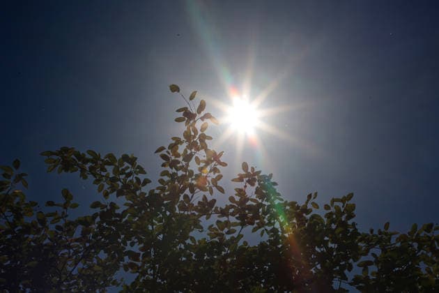 Hitzewelle und Klimawandel Gleißende Sonne die mit voller Wucht und Temperaturen von deutlich über 30 Grad auf die Landschaft trifft. Essen Nordrhein-Westfalen Deutschland Ruhrtal *** Heat Wave and Climate Change