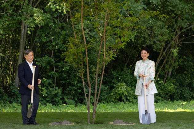 19-06-2026 Amsterdam Emperor Naruhito of Japan and Empress Masako planting a cherry tree in the Blossom Park in the Amsterdam Forest on the 3rd and last day of the 3 day statevisit to the Netherlands. Â  Copyright: xPPEx