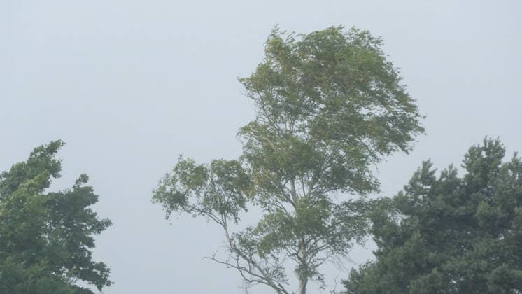 Heftige Gewitter und Unwetter haben am Samstagmittag auch Ostdeutschland erreicht. In Nordsachsen, an der Grenze zu Brandenburg formierte sich eine Gewitterfront und zog nach Nordosten in Richtung polnischer Grenze. Der Aufzug zeigte sich bedrohlich, Drohnenaufnahmen zeigen schwere Sturmböen am Erdboden Staub und Dreck werden aufgewühlt. Auf der A 15 bei Groß Lübbenau ging es nur stockend voran, heftiger Starkregen und kleinkörniger Hagel beeinträchtigte die Sicht. In Kalkwitz auf der Wiesenstrasse kamen die umlegenden Feuerwehren zum Einsatz. Gemeldet wurde ein Brand durch Blitzschlag. Der Starkregen hat das Feuer aber bereits eigenständig gelöscht. Mit dem Durchzug der Gewitterfront hieß es im Osten durchlüften. Kalkwitz Br