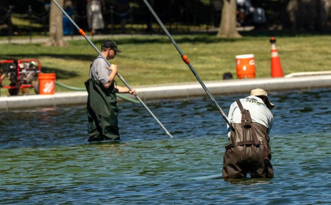 National Park Service workers use vacuum pumps to clean algae off the bottom of the newly renovated Lincoln Memorial Reflecting Pool on the National Mall in Washington, DC on Saturday, June 20,2026. The Trump Administration awarded no-bid contracts totaling nearly $15 million to renovated Reflecting Pool but it is now filled with algae and the paint is peeling. Dozens of National Guard and other police stop people from taking the blue paint chips floating in the water, with some arrests.  WAP2026062003 PATxBENIC