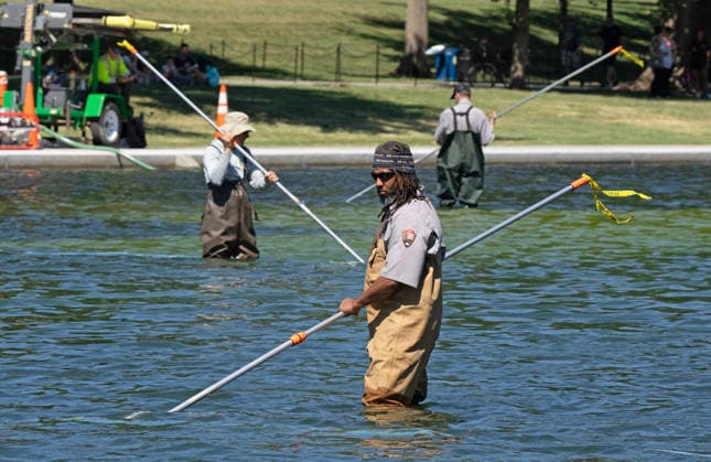 National Park Service workers use vacuum pumps to clean algae off the bottom of the newly renovated Lincoln Memorial Reflecting Pool on the National Mall in Washington, DC on Saturday, June 20,2026. The Trump Administration awarded no-bid contracts totaling nearly $15 million to renovated Reflecting Pool but it is now filled with algae and the paint is peeling. Dozens of National Guard and other police stop people from taking the blue paint chips floating in the water, with some arrests.  WAP2026062005 PATxBENIC