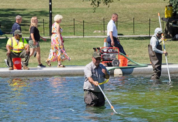 National Park Service workers use vacuum pumps to clean algae off the bottom of the newly renovated Lincoln Memorial Reflecting Pool on the National Mall in Washington, DC on Saturday, June 20,2026. The Trump Administration awarded no-bid contracts totaling nearly $15 million to renovated Reflecting Pool but it is now filled with algae and the paint is peeling. Dozens of National Guard and other police stop people from taking the blue paint chips floating in the water, with some arrests.  WAP2026062006 PATxBENIC