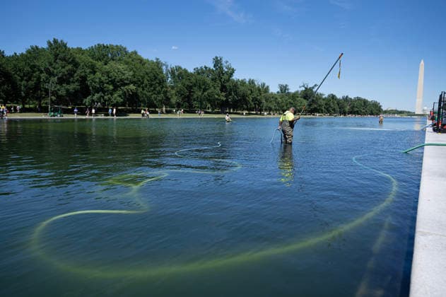 National Park Service workers use vacuum pumps to clean algae off the bottom of the newly renovated Lincoln Memorial Reflecting Pool on the National Mall in Washington, DC on Saturday, June 20,2026. The Trump Administration awarded no-bid contracts totaling nearly $15 million to renovated Reflecting Pool but it is now filled with algae and the paint is peeling. Dozens of National Guard and other police stop people from taking the blue paint chips floating in the water, with some arrests.  WAP2026062013 PATxBENIC