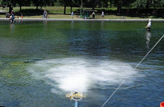 Hydrogen Peroxide is pumped into the newly renovated Lincoln Memorial Reflecting Pool to clean algae as residents and tourists walk by on the National Mall in Washington, DC on Saturday, June 20,2026. The Trump Administration awarded no-bid contracts totaling nearly $15 million to renovated Reflecting Pool but it is now filled with algae and the paint is peeling. Dozens of National Guard and other police stop people from taking the blue paint chips floating in the water, with some arrests.  WAP2026062016 PATxBENIC