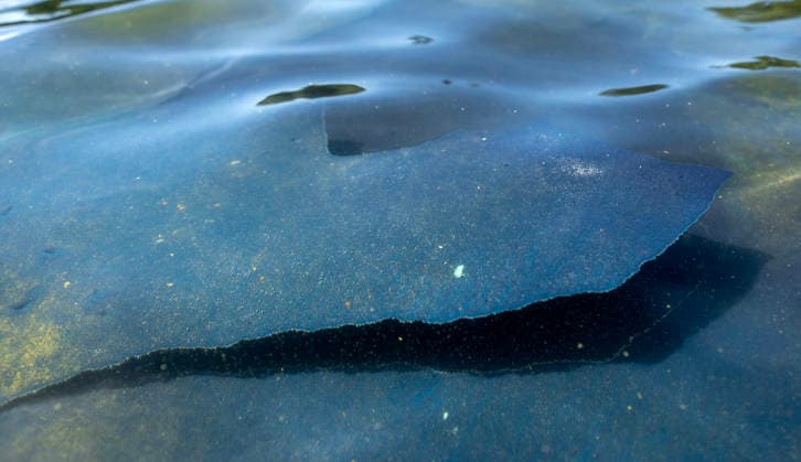 A three-foot section of blue paint peels from the bottom of the newly renovated Lincoln Memorial Reflecting Pool on the National Mall in Washington, DC on Saturday, June 20,2026. The Trump Administration awarded no-bid contracts totaling nearly $15 million to renovated Reflecting Pool but it is now filled with algae and the paint is peeling. Dozens of National Guard and other police stop people from taking the blue paint chips floating in the water, with some arrests.  WAP20260620183 PATxBENIC
