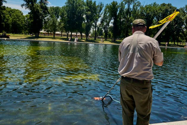 June 20, 2026, Washington Dc, Washington Dc, USA: National Park Service workers attempt to clean rapid algae growth from the Reflecting Pool on the National Mall in Washington D.C. ahead of the Freedom 250 and July 4th celebrations. June 20, 2026 Washington Dc USA - ZUMAg216 20260620_znp_g216_009 Copyright: xDominicxGwinnx