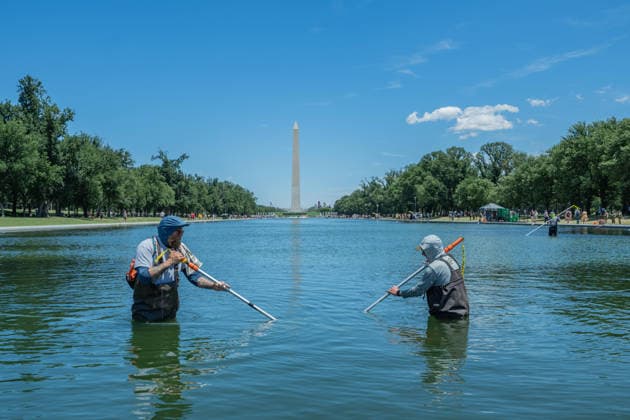 June 20, 2026, Washington, District Of Columbia, United States: Workers remove algae from the Lincoln Memorial Reflecting Pool in Washington, D.C., as crews continue maintenance and water quality efforts at the iconic National Mall landmark. Washington United States - ZUMAk206 20260620_znp_k206_002 Copyright: xMattxKaminskyx