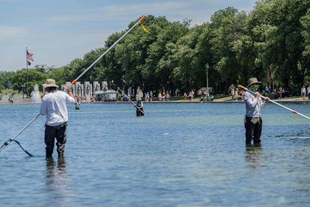 June 20, 2026, Washington, District Of Columbia, United States: Workers remove algae from the Lincoln Memorial Reflecting Pool in Washington, D.C., as crews continue maintenance and water quality efforts at the iconic National Mall landmark. Washington United States - ZUMAk206 20260620_znp_k206_003 Copyright: xMattxKaminskyx