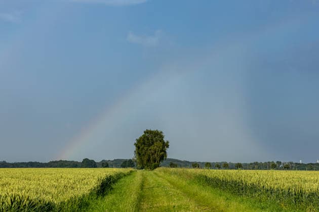 Regenbogen am 20.06.2026 in Ense Am 20.06.2026 zeigte sich über Ense ein außergewöhnlicher Regenbogen mit deutlich erkennbaren zusätzlichen Farbbändern. Die feinen Strukturen entlang des Hauptbogens entstanden durch die Wechselwirkung von Sonnenlicht und unterschiedlich großen Regentropfen und verliehen dem Himmelsphänomen ein besonders seltenes Erscheinungsbild. Die Aufnahmen dokumentieren einen eindrucksvollen atmosphärischen Moment, der weit über einen gewöhnlichen Regenbogen hinausging. Es scheint eine Mischung aus Interferenzbogen und gespaltenem Regenbogen zu sein *** Rainbow on June 20, 2026, in Ense On June 20, 2026, an extraordinary rainbow appeared over Ense, featuring clearly visible additional color bands. The delicate Copyright: xx xChantalxAndersx