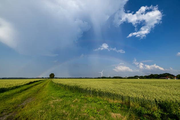 Regenbogen am 20.06.2026 in Ense Am 20.06.2026 zeigte sich über Ense ein außergewöhnlicher Regenbogen mit deutlich erkennbaren zusätzlichen Farbbändern. Die feinen Strukturen entlang des Hauptbogens entstanden durch die Wechselwirkung von Sonnenlicht und unterschiedlich großen Regentropfen und verliehen dem Himmelsphänomen ein besonders seltenes Erscheinungsbild. Die Aufnahmen dokumentieren einen eindrucksvollen atmosphärischen Moment, der weit über einen gewöhnlichen Regenbogen hinausging. Es scheint eine Mischung aus Interferenzbogen und gespaltenem Regenbogen zu sein *** Rainbow on June 20, 2026, in Ense On June 20, 2026, an extraordinary rainbow appeared over Ense, featuring clearly visible additional color bands. The delicate Copyright: xx xChantalxAndersx
